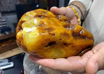 2 bin yıllık kehribar