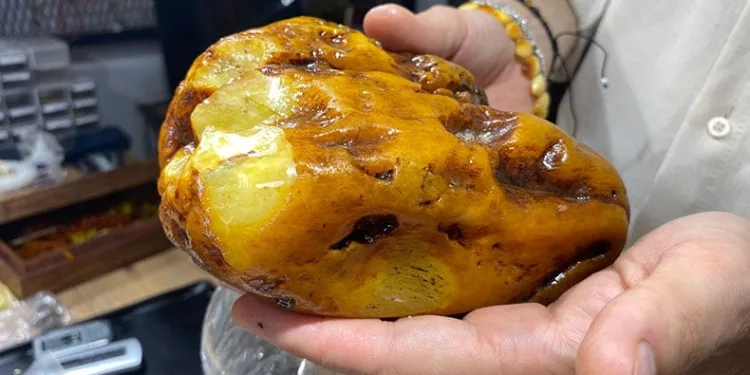 2 bin yıllık kehribar