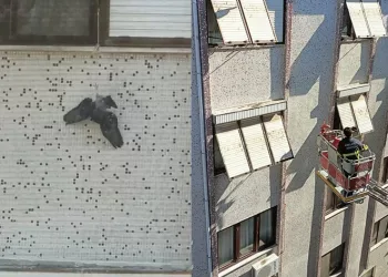 İpe asılı kalan güvercini itfaiye kurtardı