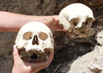 Tahrip edilen yerlerde insan kemikleri çıktı