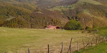 Ordu’nun yaylalarında sonbahar güzelliği