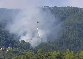 Alanya’da orman yangını