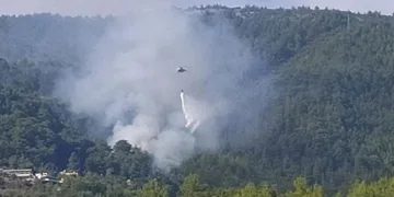 Alanya’da orman yangını