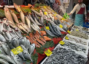 Tezgahlarda hamsi bolluğu devam ediyor