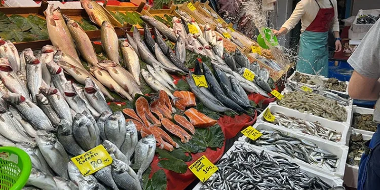 Tezgahlarda hamsi bolluğu devam ediyor