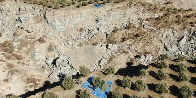 Bahçede tedirgin eden hasat başladı