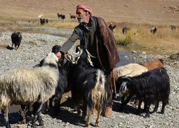 Besicilerin bir aylık yolculuğu başladı