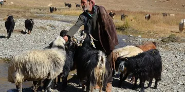 Besicilerin bir aylık yolculuğu başladı