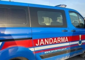 Palet hırsızlarını jandarma yakaladı