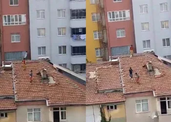 Çatıya çıkan çocukların tehlikeli oyunu