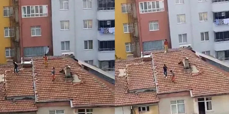 Çatıya çıkan çocukların tehlikeli oyunu