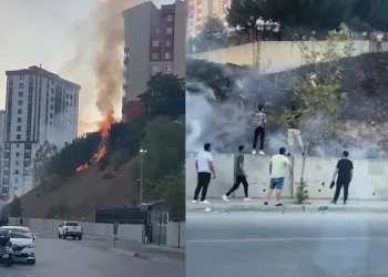 Atılan havai fişekten çıkan yangın güçlükle söndürüldü