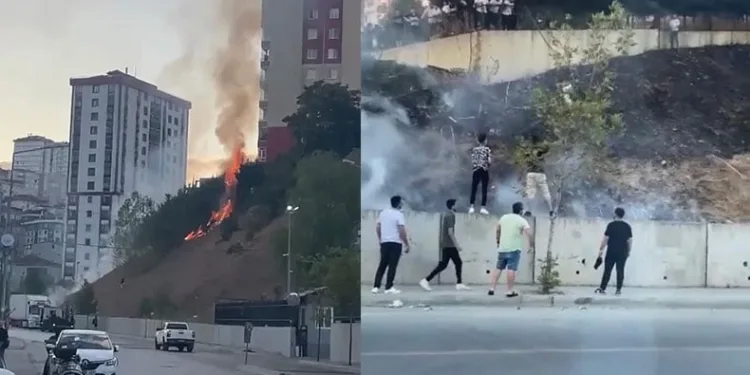 Atılan havai fişekten çıkan yangın güçlükle söndürüldü