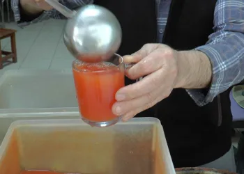 Lezzetli turşunun sırrı ‘kaya tuzu’