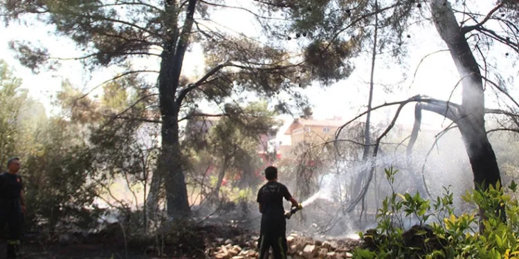 Ormanlık alandaki yangın büyümeden söndürüldü