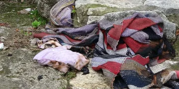 Cumhuriyet’in ilanını görmüştü