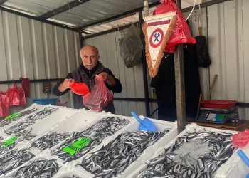 Fiyatlar düşüşe geçti, balığa ilgi arttı