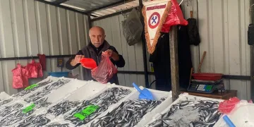 Fiyatlar düşüşe geçti, balığa ilgi arttı