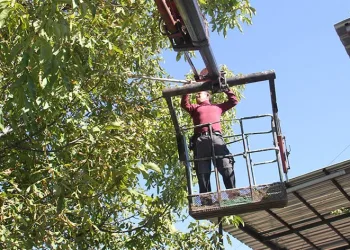 Can güvenliklerini garantiye aldılar