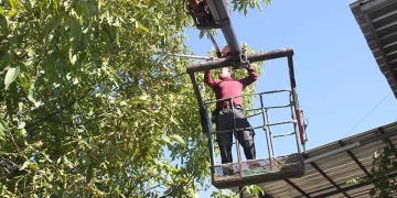 Can güvenliklerini garantiye aldılar