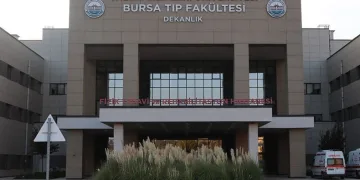 Teknolojii, insanların hareketini düşürdü