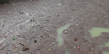 Sel suları baraj gölünü çöplüğe döndürdü
