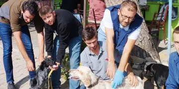 Bursa’da 100 av köpeği çiplendi