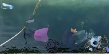 Poyraz, yerini lodosa bırakınca limanı çöp bastı