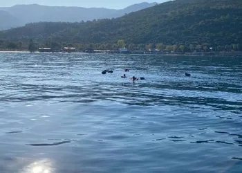 Yüzerek geçmeye çalıştılar, yakalandılar