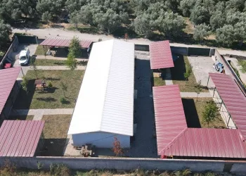 Sokak hayvanlarına tam teşekküllü merkez