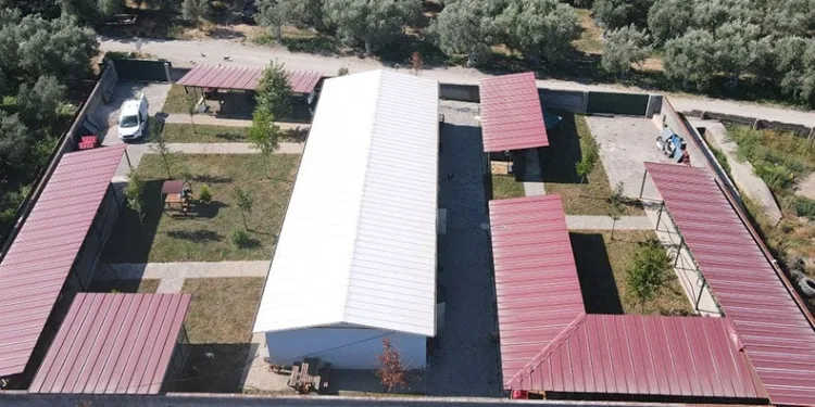 Sokak hayvanlarına tam teşekküllü merkez