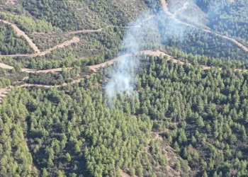 Nazilli’de orman yangını