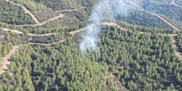 Nazilli’de orman yangını
