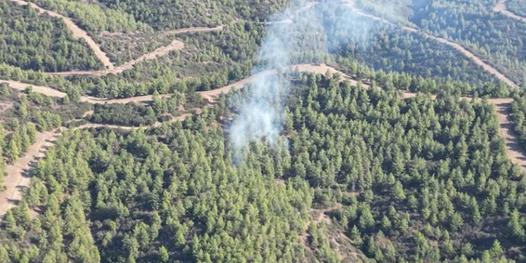 Nazilli’de orman yangını