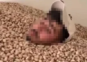 2 ton fıstığa el konuldu
