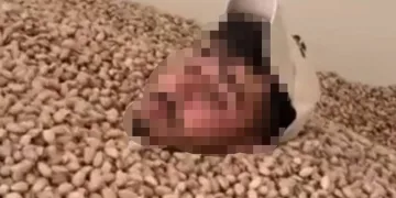 2 ton fıstığa el konuldu