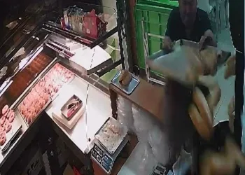 Kasaya dalan hırsız tepsiyi başına yedi
