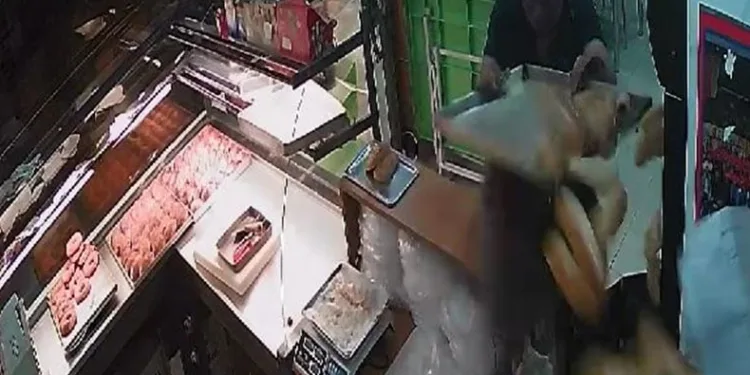 Kasaya dalan hırsız tepsiyi başına yedi
