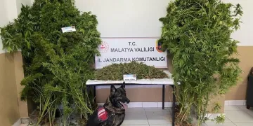 Jandarmadan uyuşturucu operasyonu