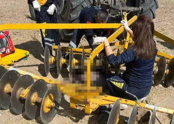 Traktöre bağlı diskaronun altında can verdi