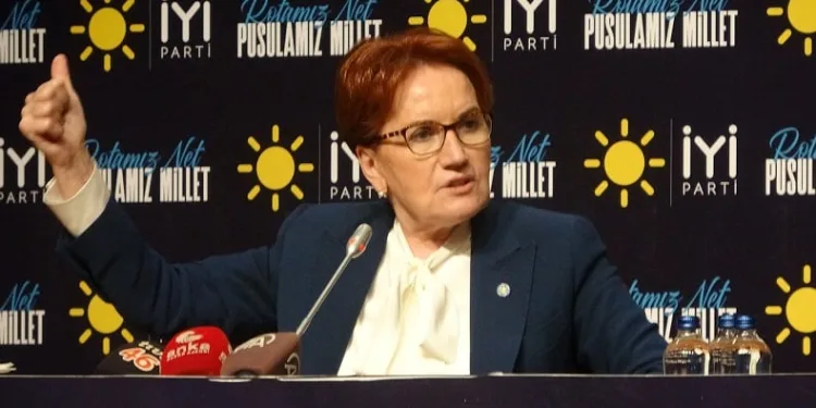 “Bu ittifak sistemlerinin hiçbir faydası yok”