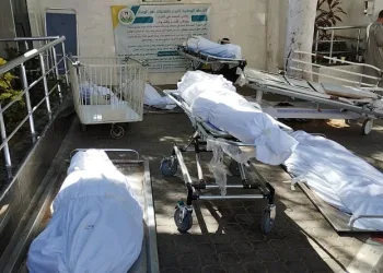 Morg dolu, cesetler dışarda bekletiliyor
