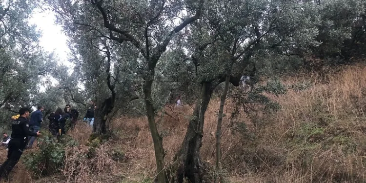 Bursa’da zeytinlikte kadın cesedi bulundu