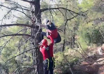 Paraşütçü ağaçta asılı kaldı