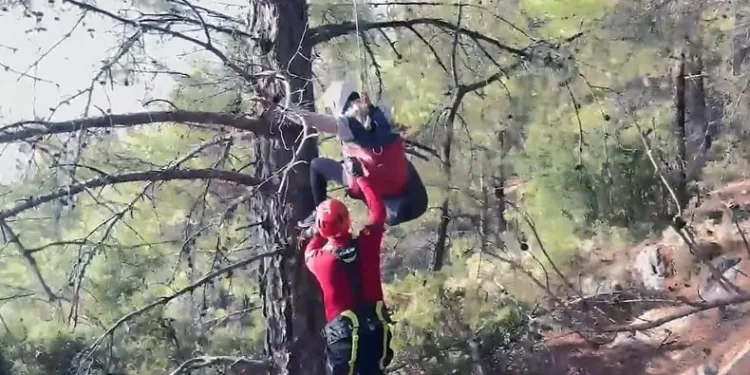 Paraşütçü ağaçta asılı kaldı