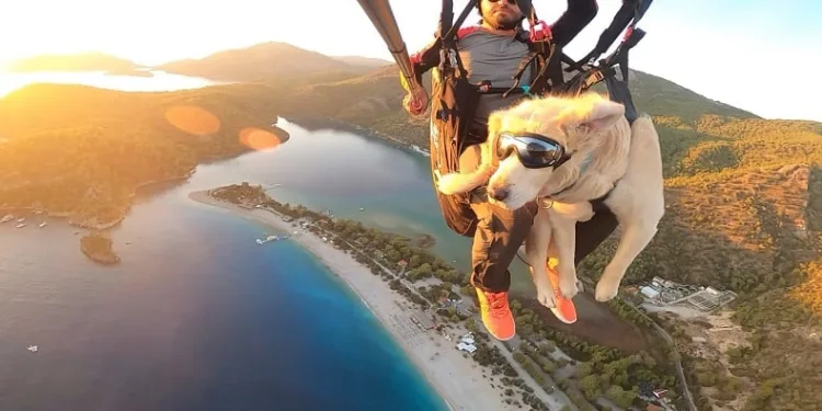 Köpeğiyle yamaç paraşütü atlayışı yaptı