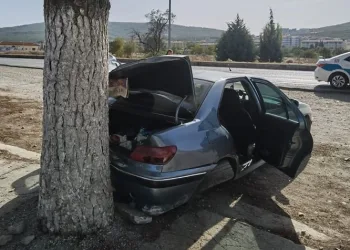 Muğla’da trafik kazası: 5 yaralı