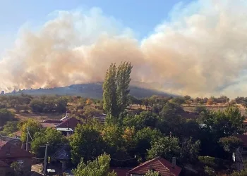 Ormana sıçrayan yangın kontrol altına alındı