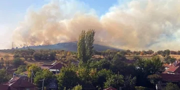 Ormana sıçrayan yangın kontrol altına alındı
