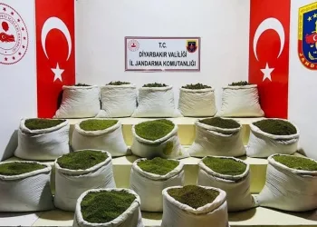 Diyarbakır’da 1 ton 354 kilo esrar, 122 bin uyuşturucu bitkisi ele geçirildi